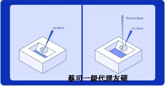 楚雄扫描电子显微镜